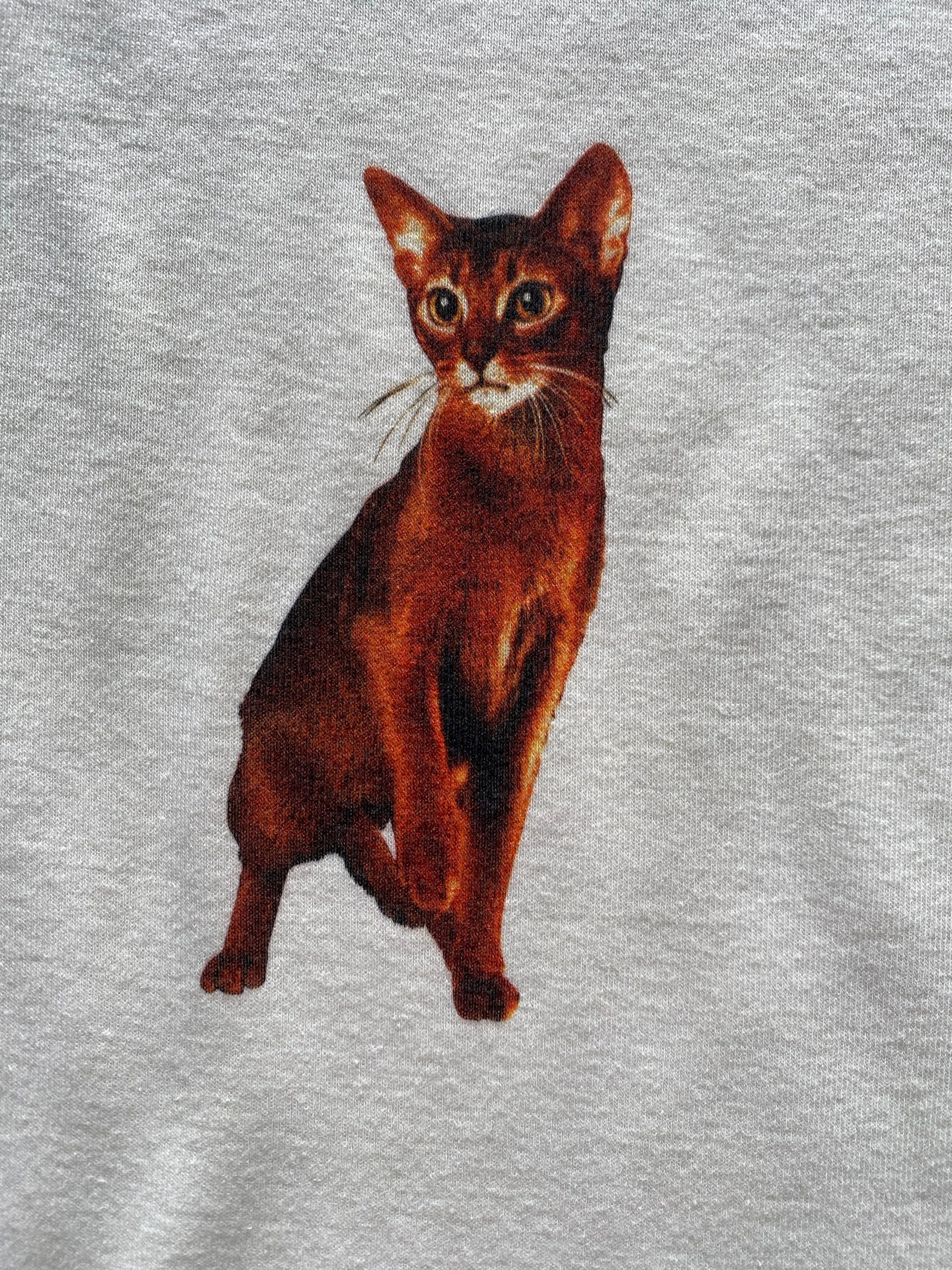 Abyssinian Cat v2 Women's Baby Rib