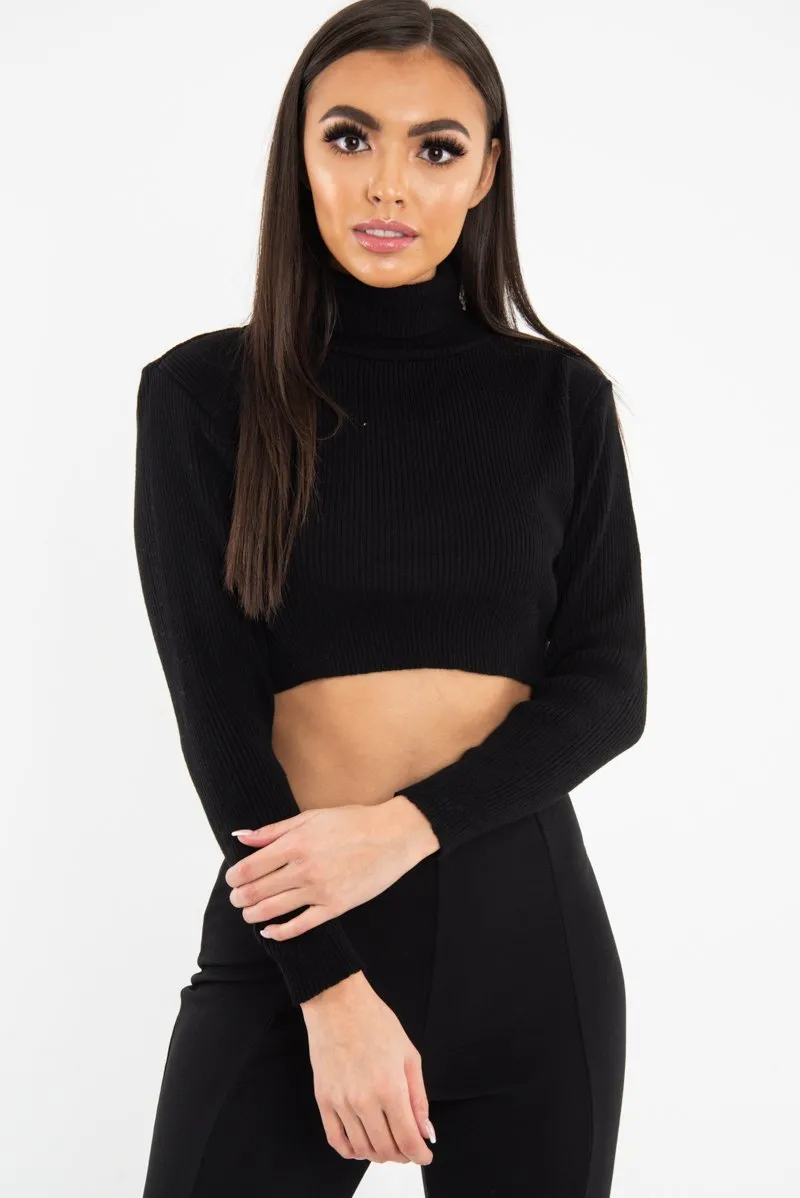 Black Rib Roll Neck Crop Jumper - Hayvin