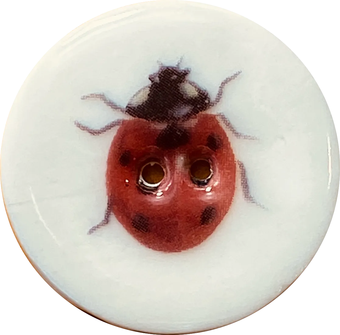 Ladybug Porcelain Button 1-1/8" 2-hole, Handmade