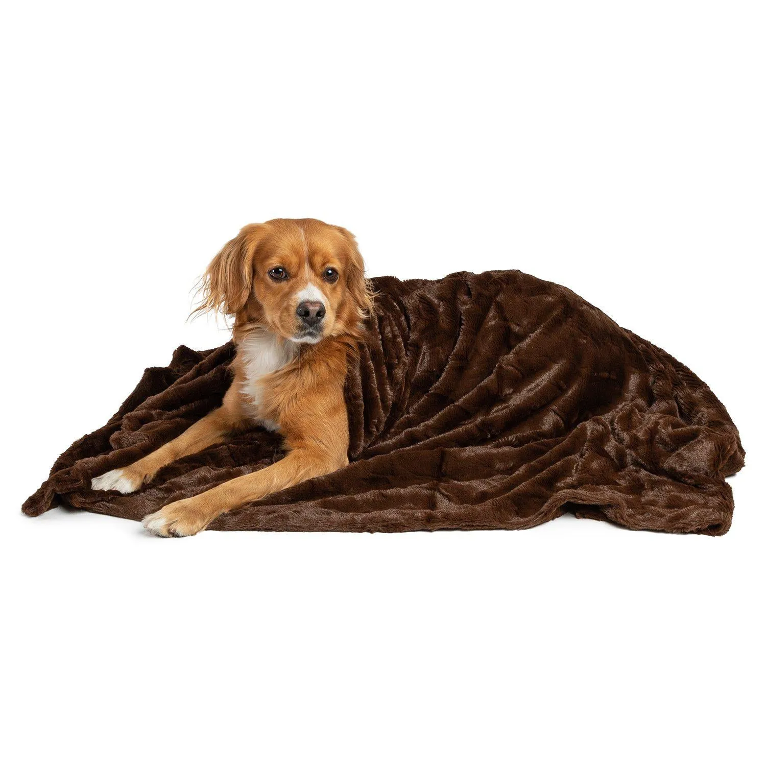 Lux Fur Pet Blanket - 40"x50"