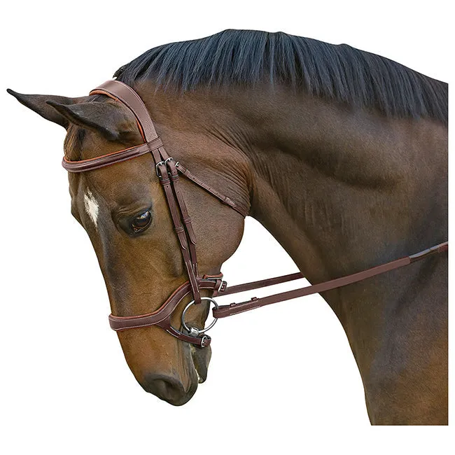 M. Toulouse HYBRID Jumper Bridle