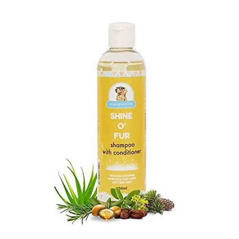 Papa Pawsome Shine O' Fur Shampoo with Conditioner for Dog