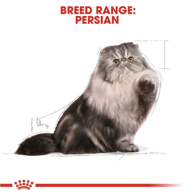 Royal Canin Persian Adult Gravy