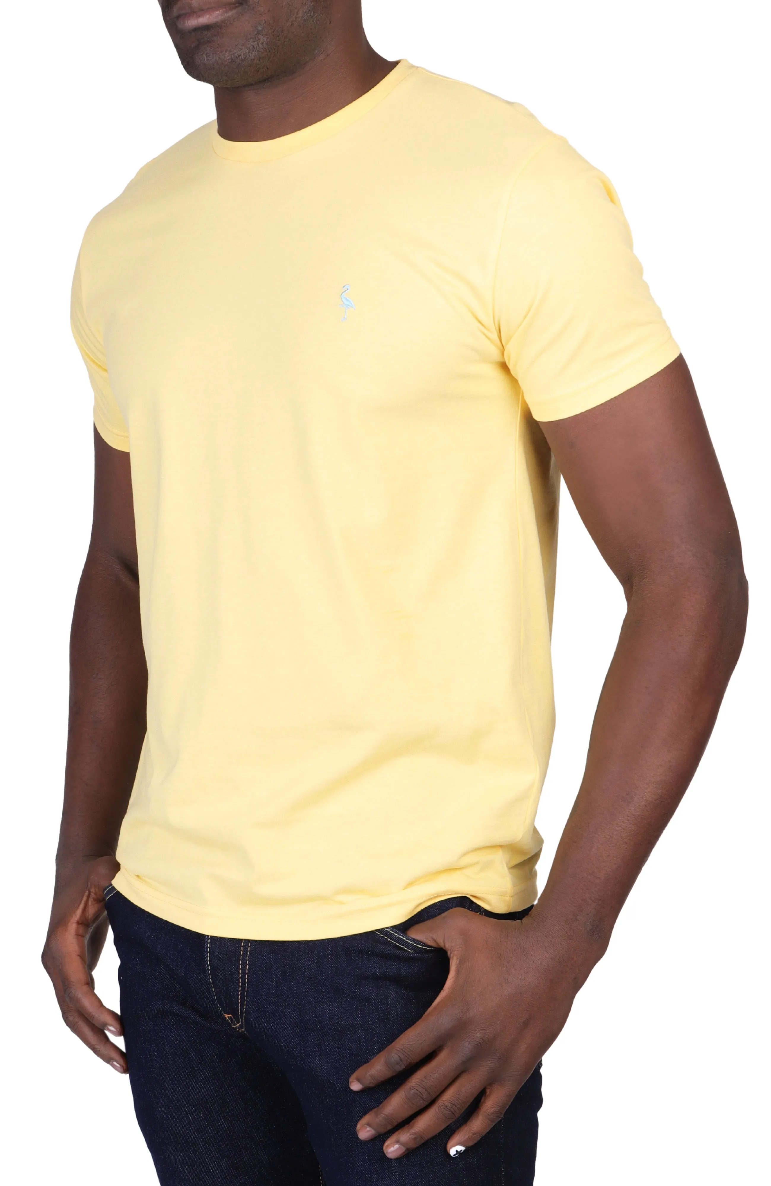 The Vibrant Cotton Crew Neck Tee