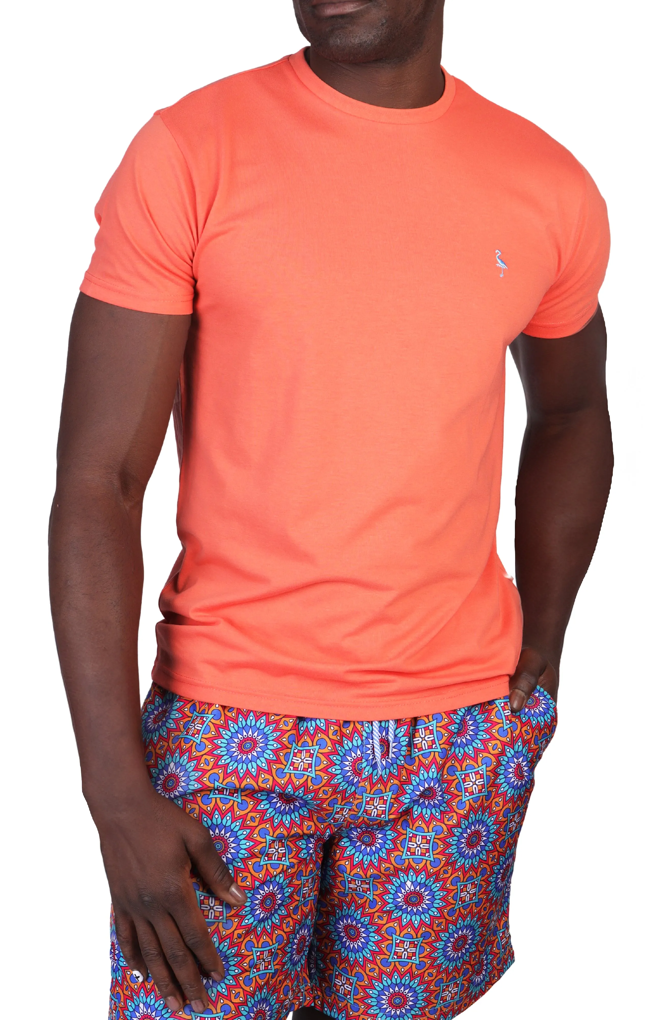 The Vibrant Cotton Crew Neck Tee