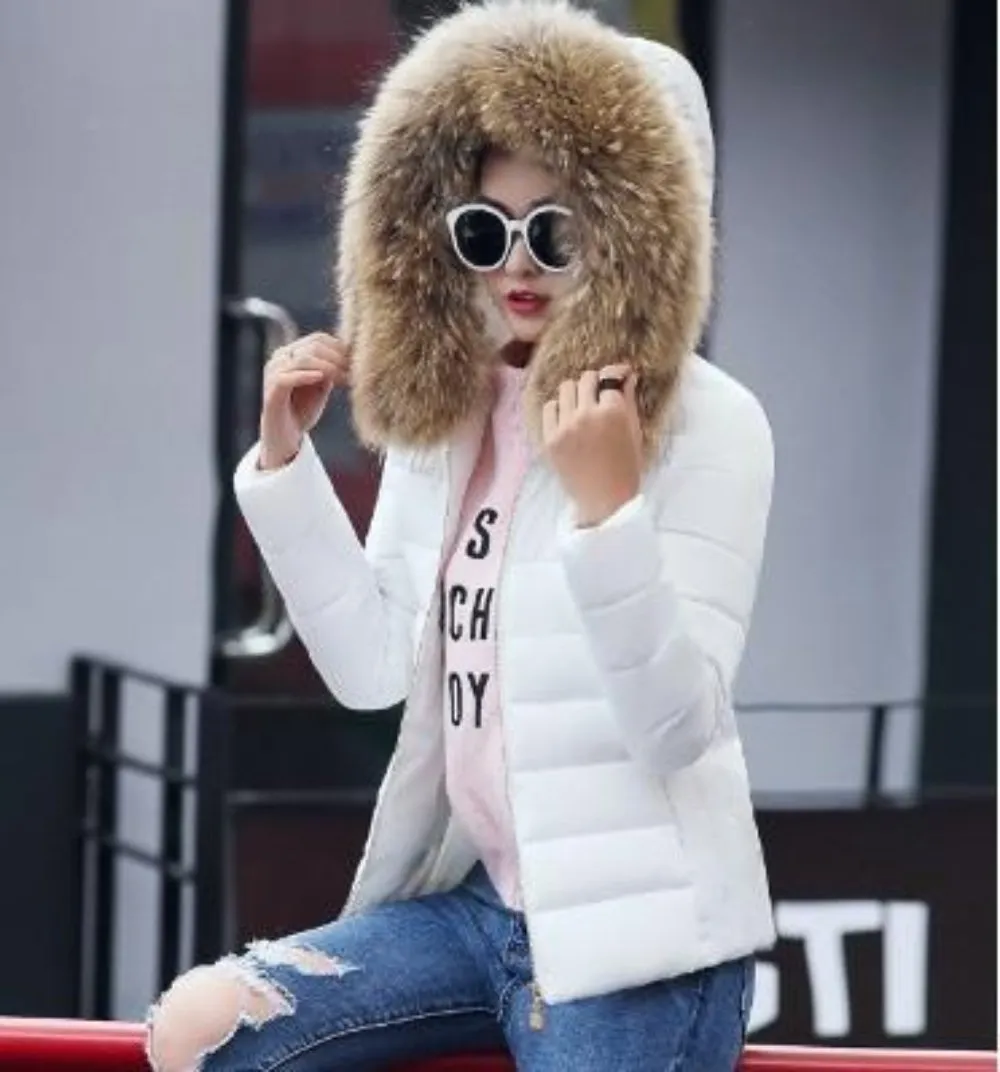 Womens  Hooded Slim Fit Winter Zip Up Short Coat in Pink